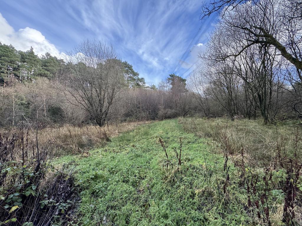 Land
