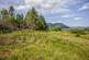 Additional image 2 of Plot 2, Brolas, Taynuilt, By Oban, PA35 1JW