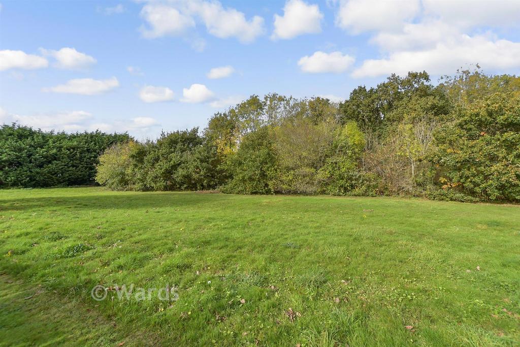 Surrounding Area