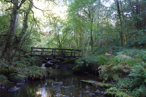 undefined, Lambdoughty Glen, Straiton, South Ayrshire KA19