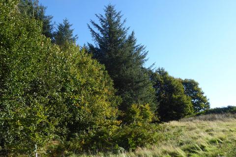 undefined, Lambdoughty Glen, Straiton, South Ayrshire KA19