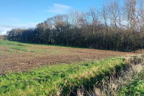 Land for sale, Skeffling