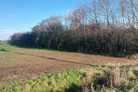 Land for sale, Skeffling
