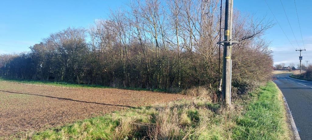 Land at Easington Road, Skeffling