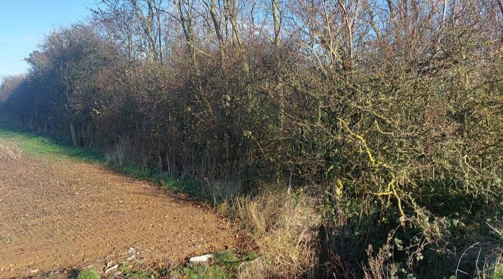 Land at Easington Road, Skeffling