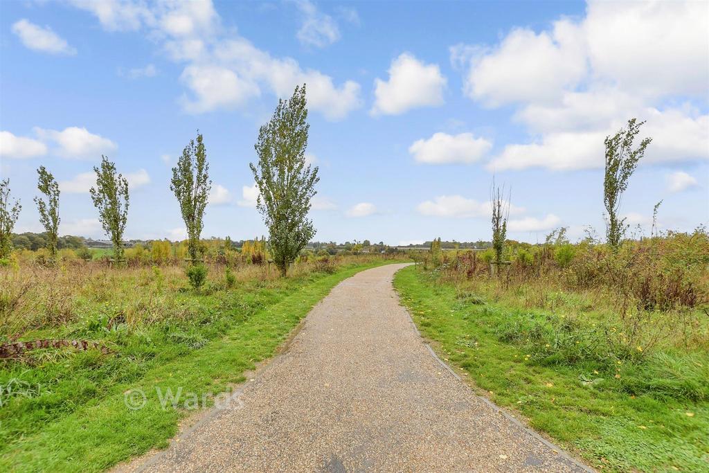 Surrounding Area