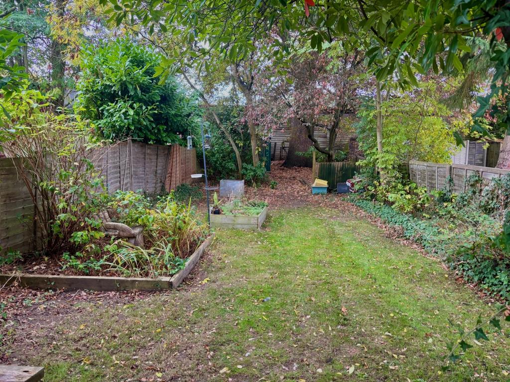 Garden 2