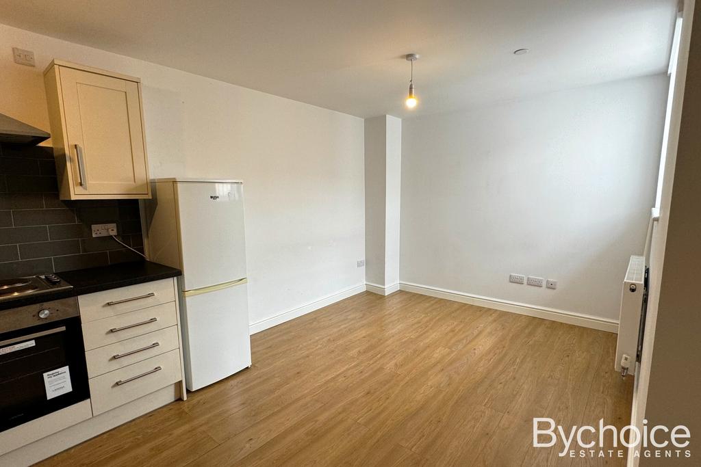 Kitchen/Living Room