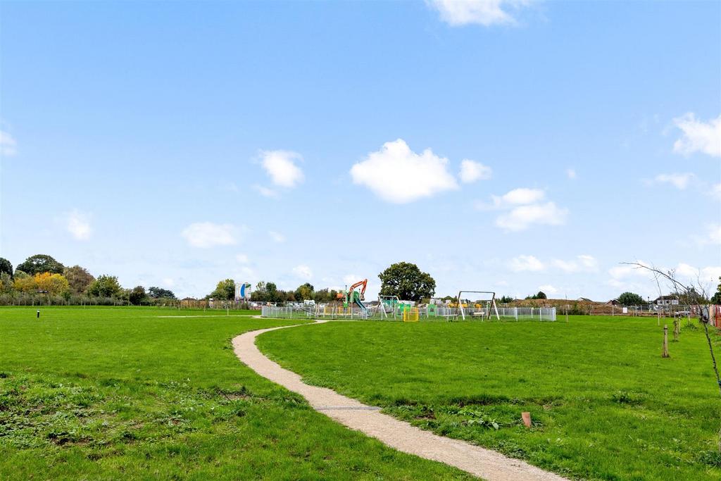 View of Park