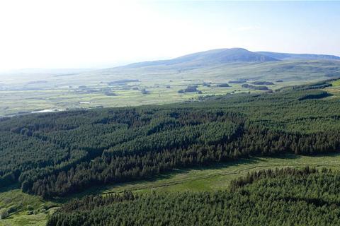 undefined, Glenquicken Forestry - Lot 2, Creetown, Newton Stewart, Dumfries and Galloway, South West Scotland, DG8