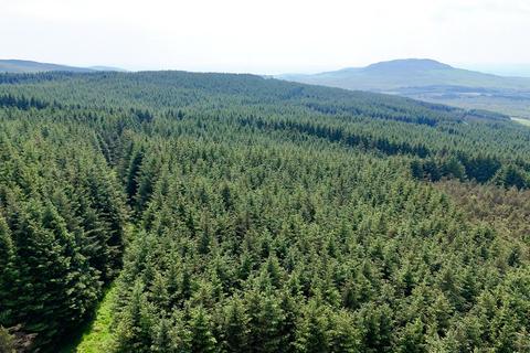 undefined, Glenquicken Forestry - Lot 2, Creetown, Newton Stewart, Dumfries and Galloway, South West Scotland, DG8