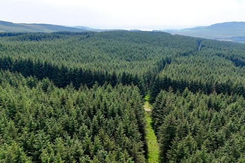 undefined, Glenquicken Forestry - Lot 2, Creetown, Newton Stewart, Dumfries and Galloway, South West Scotland, DG8