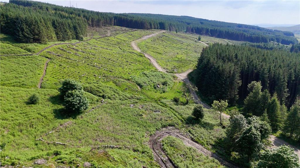 Commercial Forestry