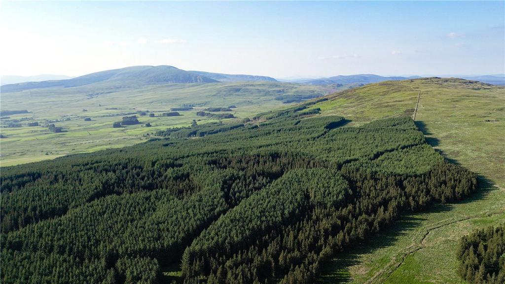Commercial Forestry