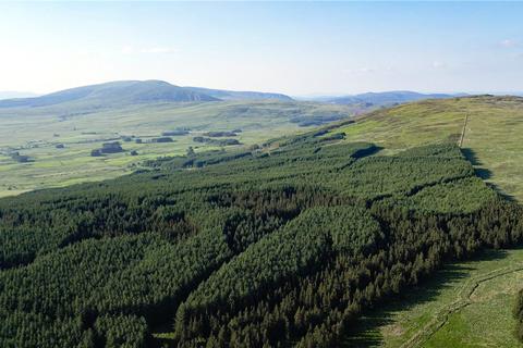 undefined, Glenquicken Forestry - Lot 2, Creetown, Newton Stewart, Dumfries and Galloway, South West Scotland, DG8