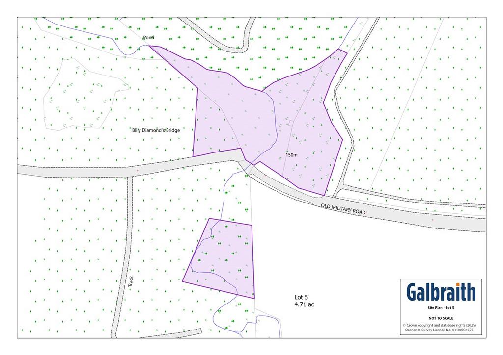 Lot 5 Site Plan