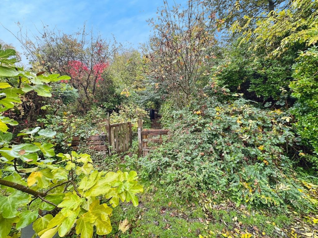 Communal Garden