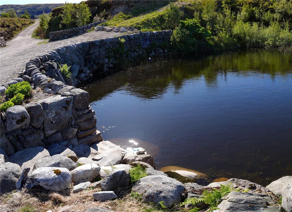 Natural Pool