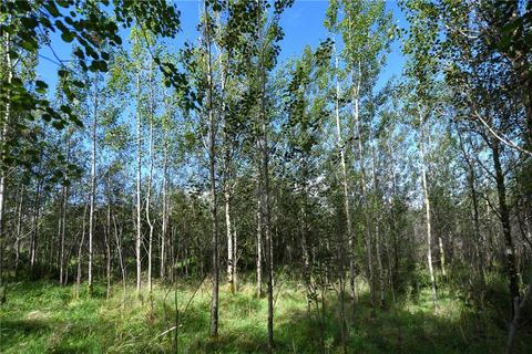 undefined, Glenquicken Aspen Woodland - Lot 4, Creetown, Newton Stewart, Dumfries and Galloway, South West Scotland, DG8