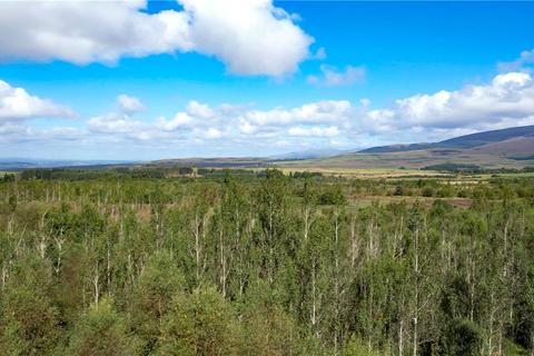 undefined, Glenquicken Aspen Woodland - Lot 4, Creetown, Newton Stewart, Dumfries and Galloway, South West Scotland, DG8