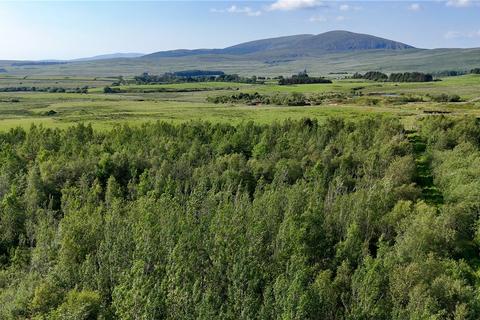 undefined, Glenquicken Aspen Woodland - Lot 4, Creetown, Newton Stewart, Dumfries and Galloway, South West Scotland, DG8