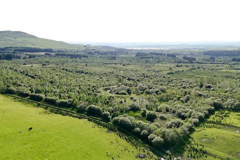 undefined, Glenquicken Aspen Woodland - Lot 4, Creetown, Newton Stewart, Dumfries and Galloway, South West Scotland, DG8