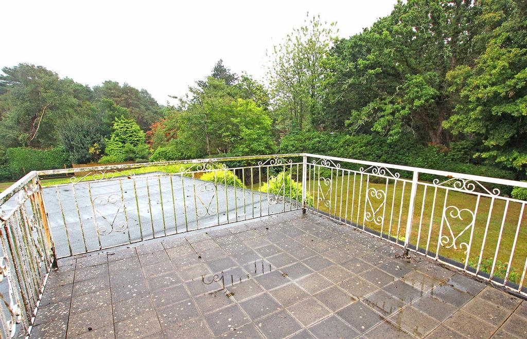 Roof terrace.jpg