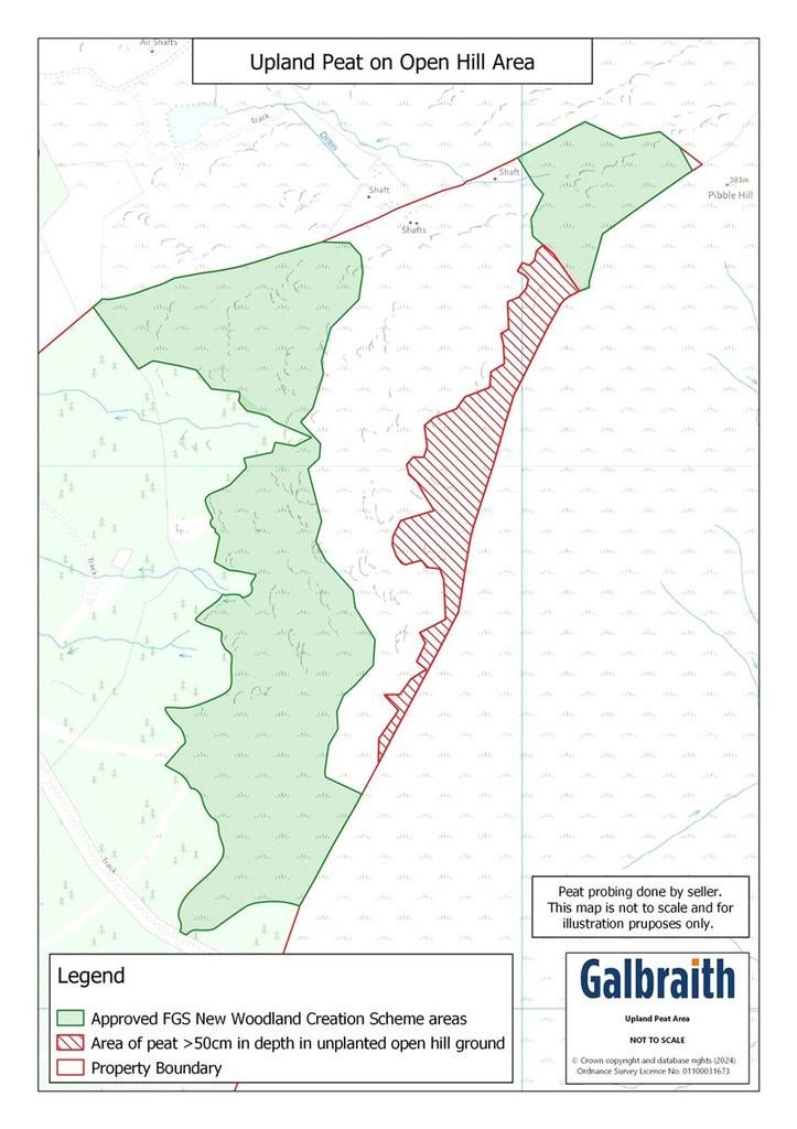 Upland Open Hill