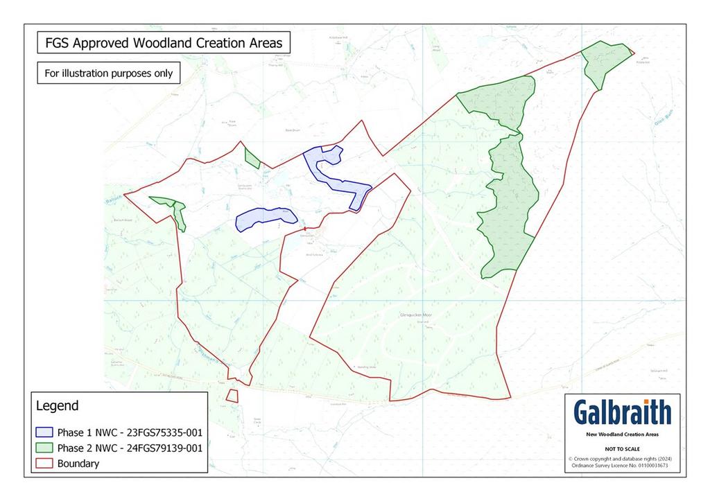 Fgs New Woodland