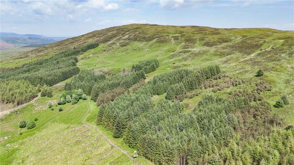 Upland Hill