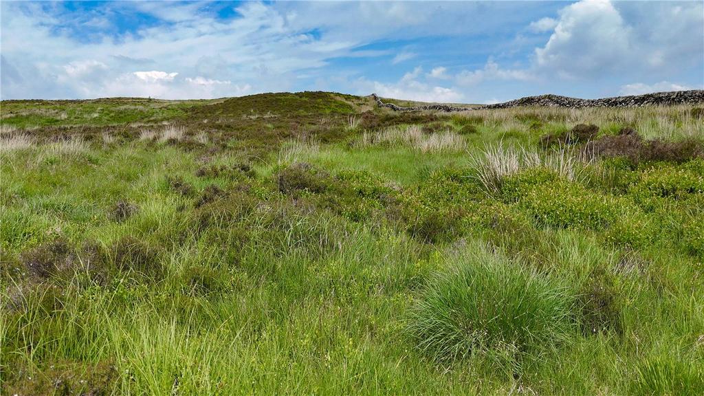 Upland Hill