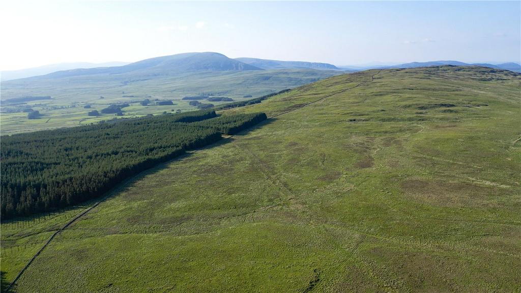 Distance View
