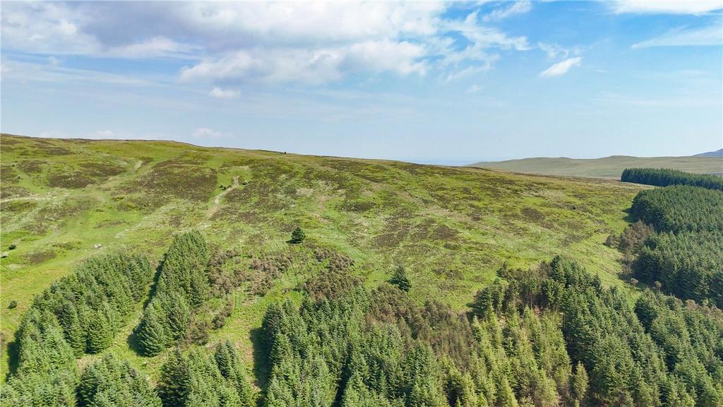 Upland Hill