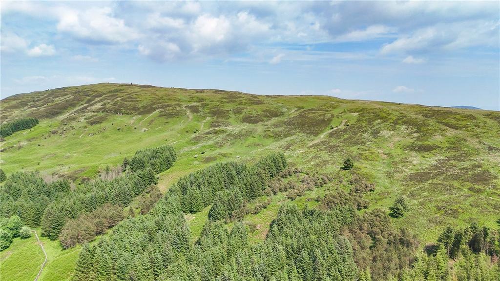 Upland Hill