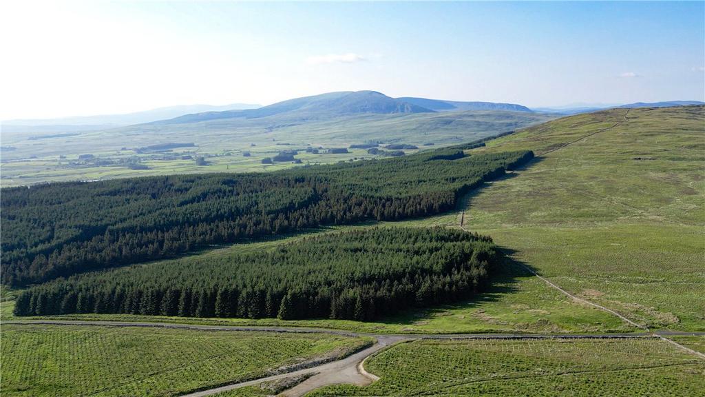 Distance View
