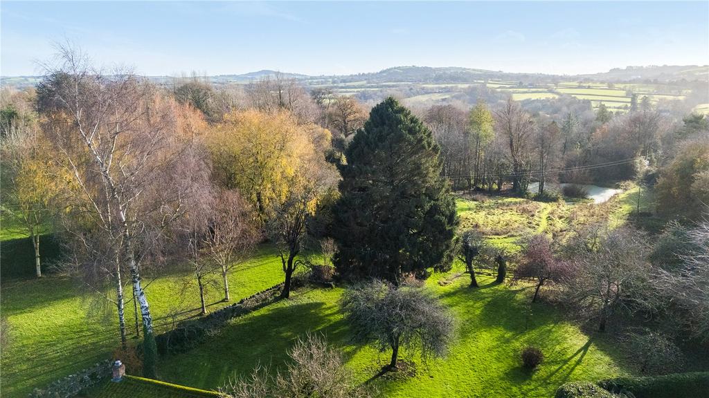 Picture No. 51