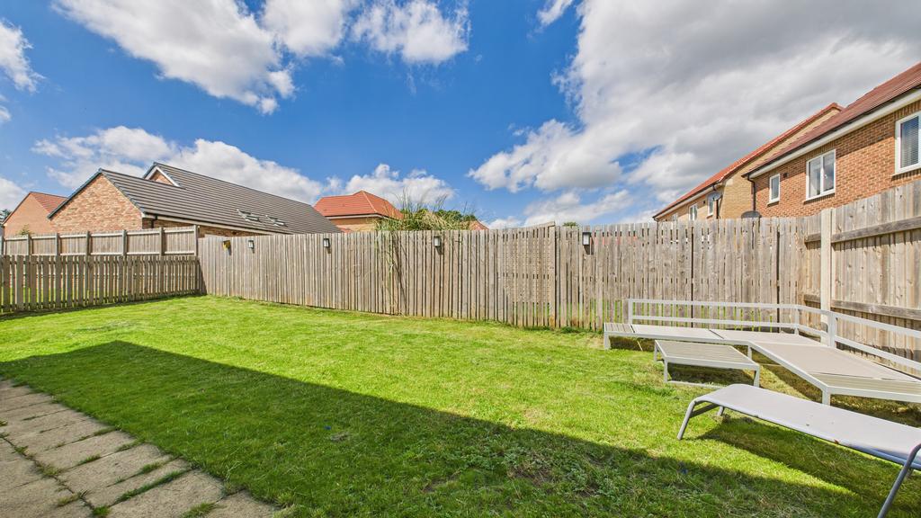 Back Garden (1)