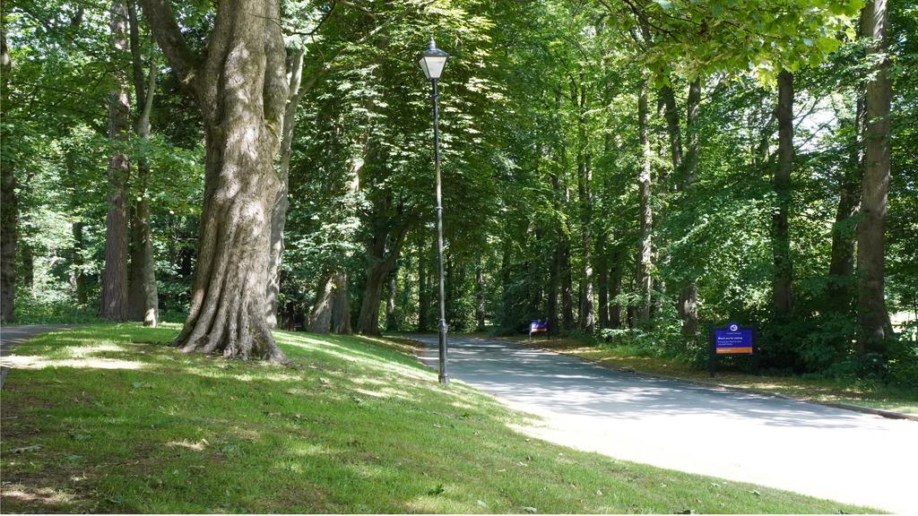 Local Area (2)