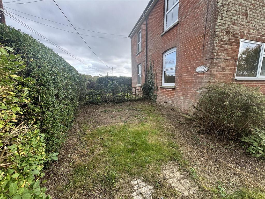 Garden 3.JPG