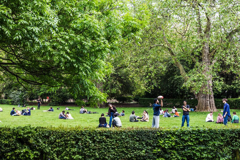 Lincolns Inn Fields 30