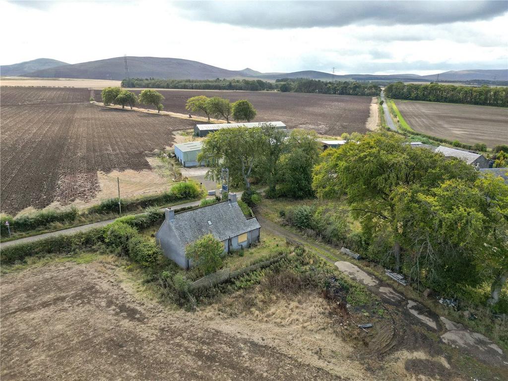 Lot 3