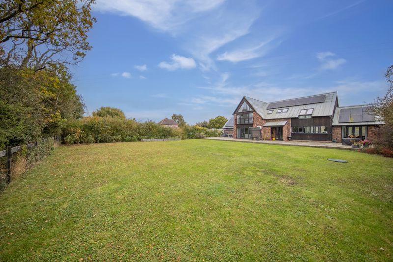 The hawthorns