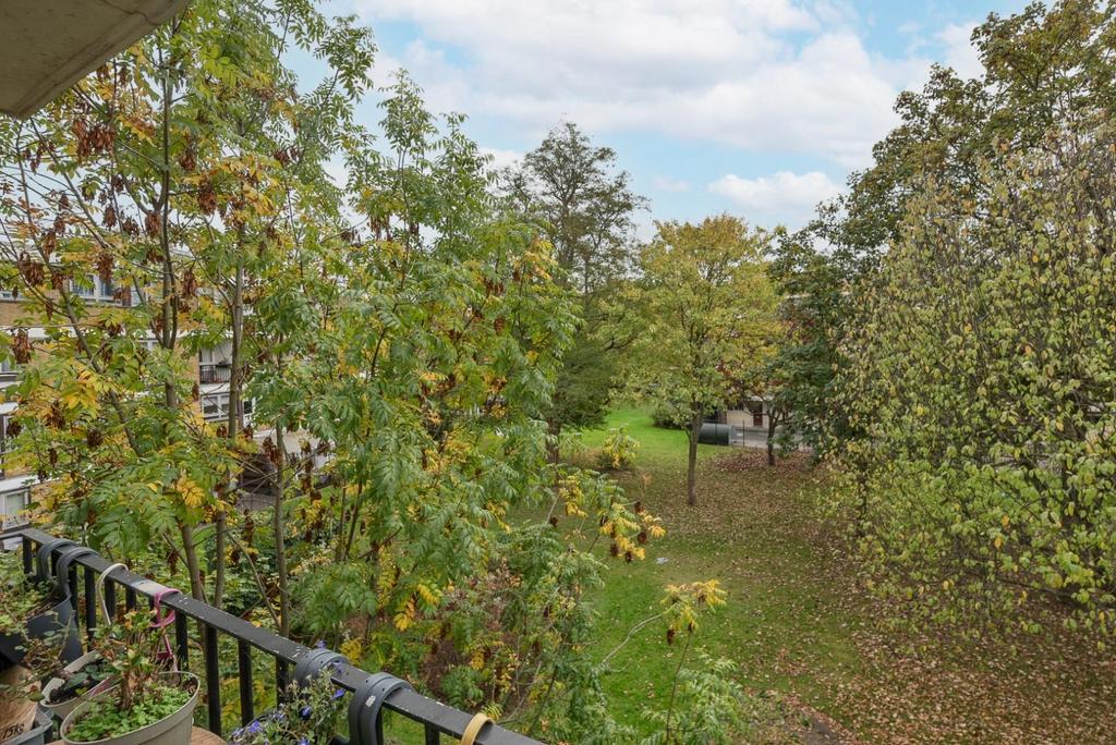 Park Views