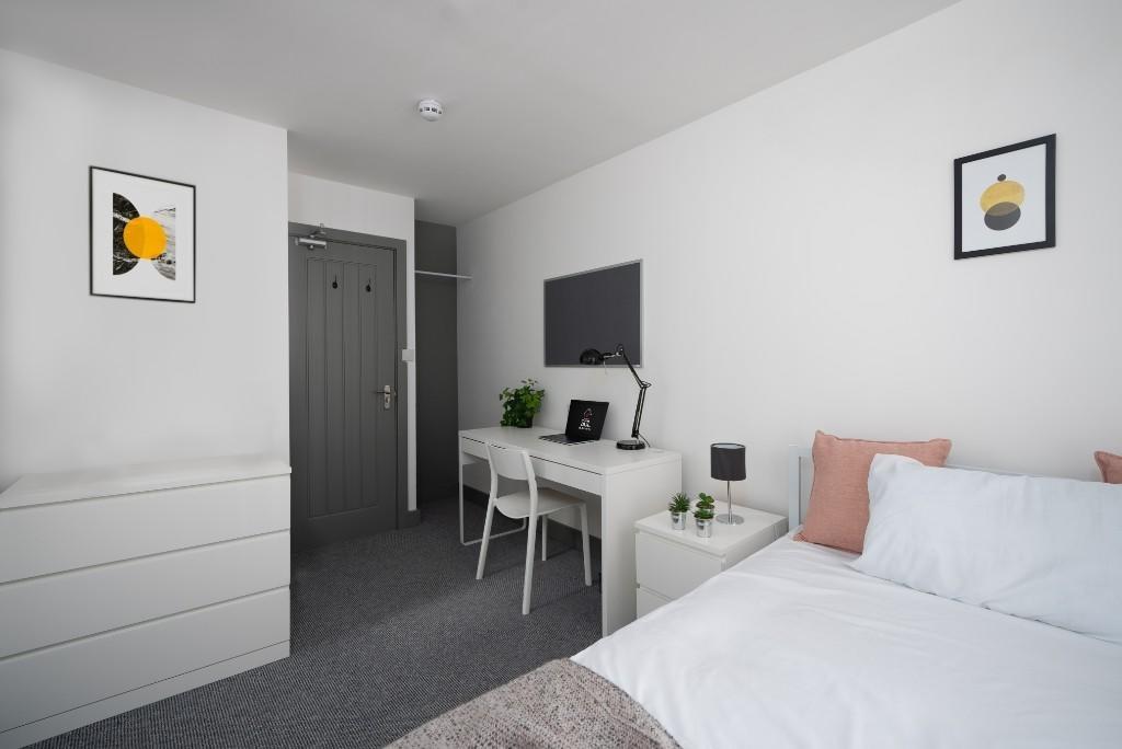 A bright and modern bedroom featuring a comfort...