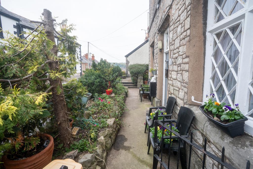 Patio view, garden