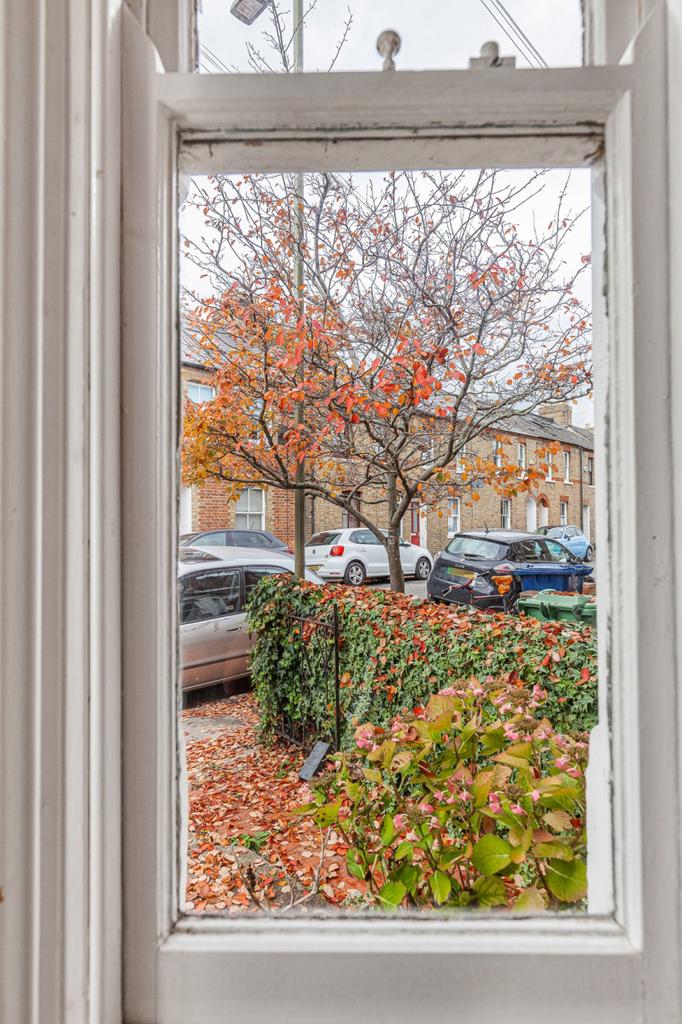 Window