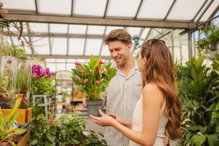 Vb5565749 Printmaker s Yard September2025 10...