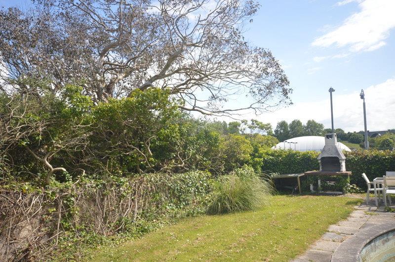 021 dsc 0021.jpg