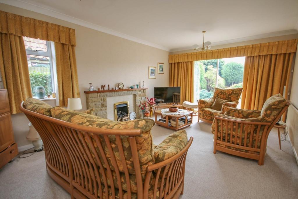 IMG 1811 Medium T202510020857.jpg