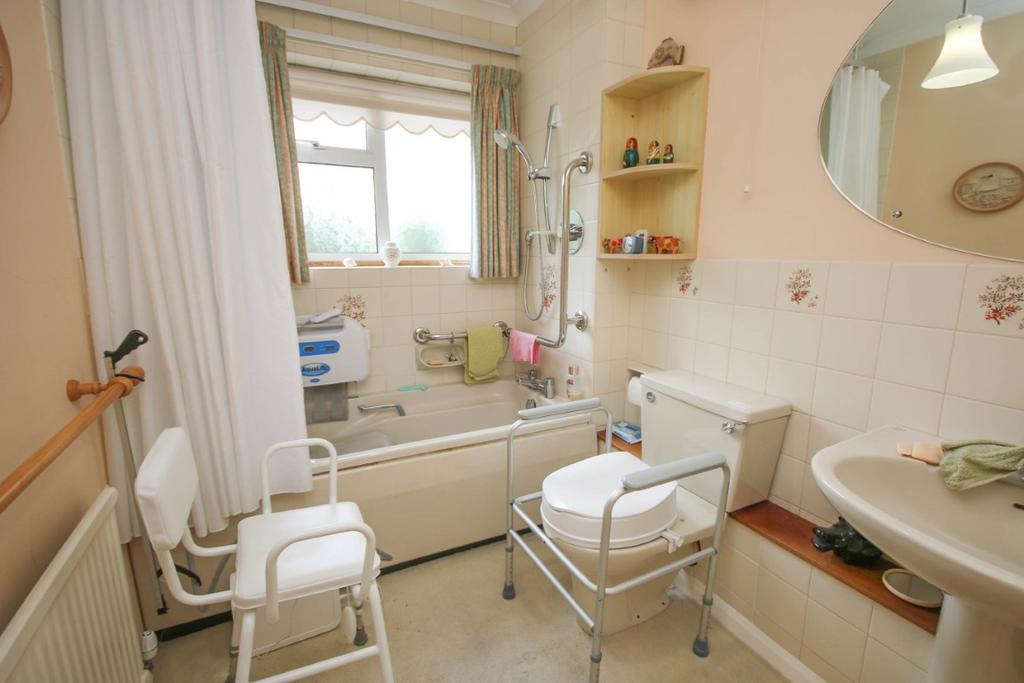 IMG 1814 Medium T202510021316.jpg